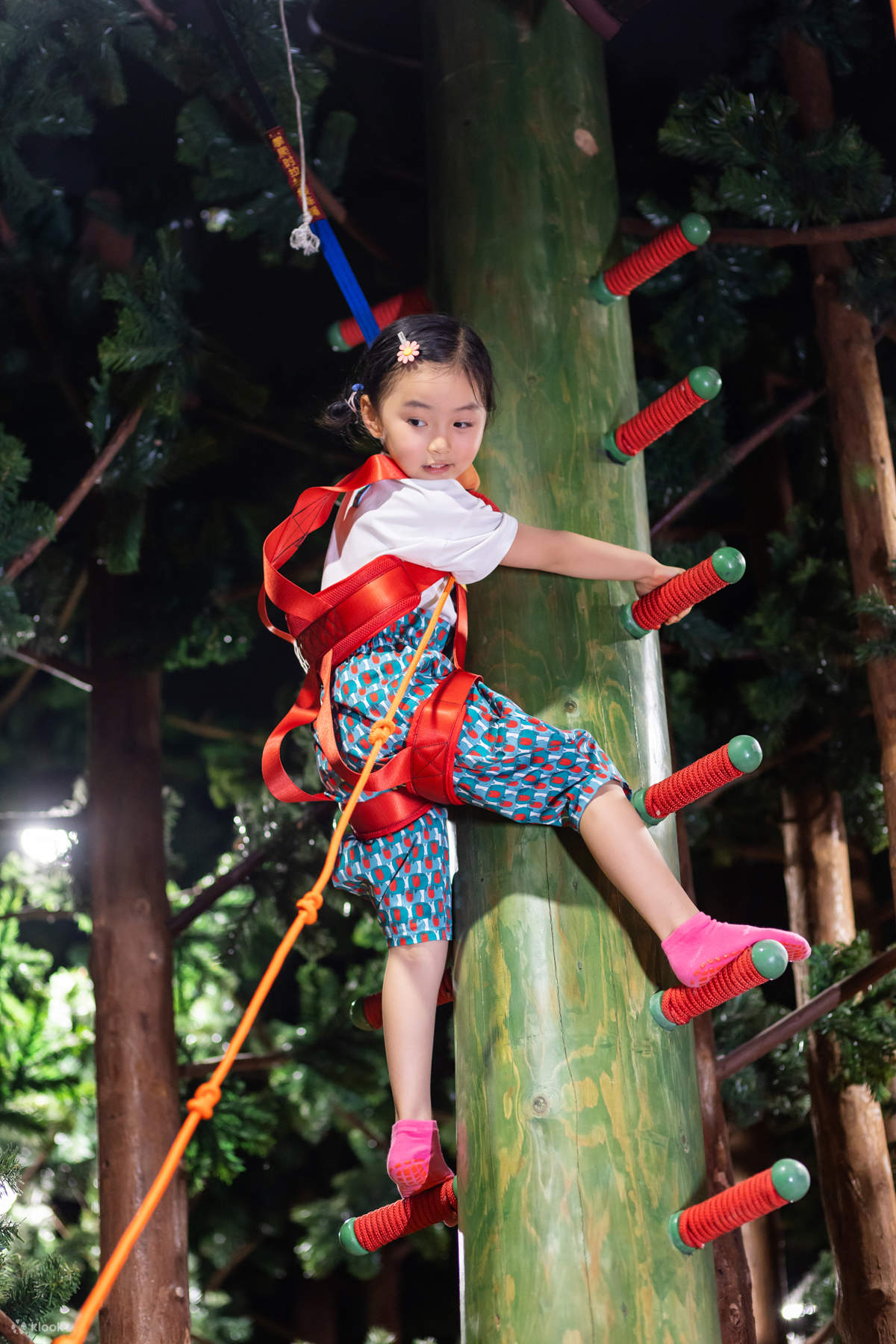 Escalera de Guisantes - Los cursos de educación para trepar árboles son cada vez más importantes. Venga y pruebe qué tan alto se atreve a escalar. No se preocupe, hay arneses de seguridad para protegerlo.